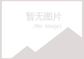 青岛黄岛倾城批发有限公司